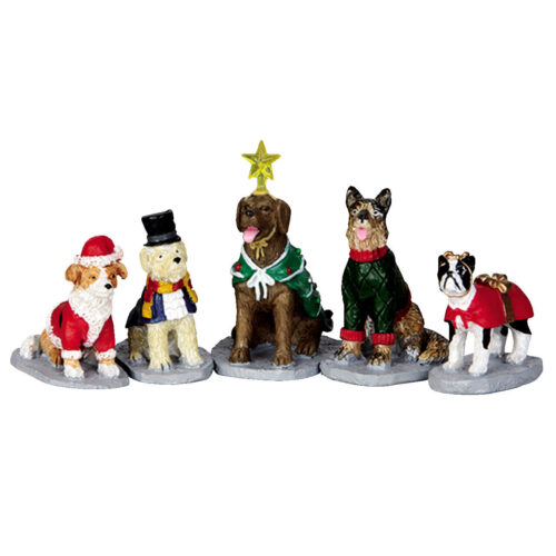 Costumed Canines Set Of 5