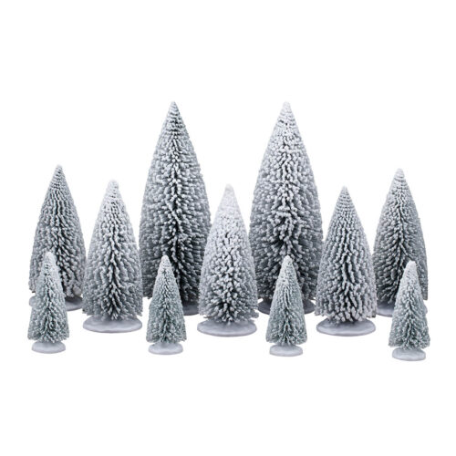 White Pine Trees